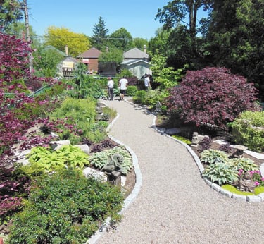 Curving gravel garden path winding through lush landscaping with Japanese maples and hostas.