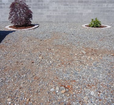 Area after stump grinding, stump removed and ground levelled in a gravel garden