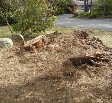 stumps and roots before being ground by sharp hedges