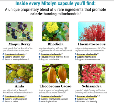Mitolyn review, Mitolyn Price, Mitolyn Discount