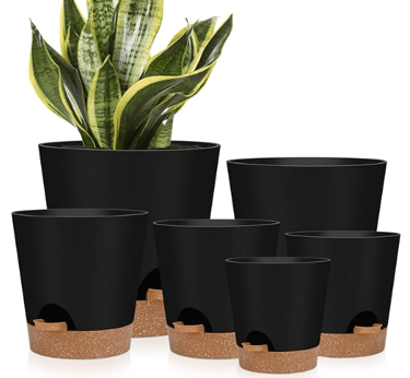6 pack self watering plant pots in black with brown bottoms