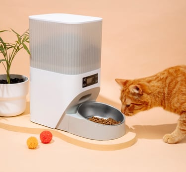 mangeoires pour chats et accessoires pour animaux 