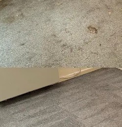 Résultat nettoyage tapis gris foncé par NetT à Toulouse – avant/après Colomiers