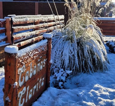nieve cabañas vacaciones bariloche