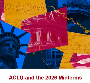 We The People ACLU and the 2026 Midterms