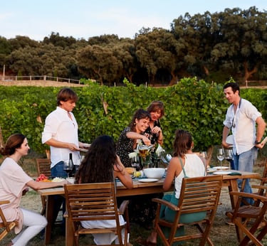 cata de vinos ronda