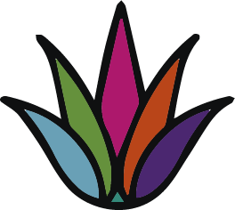 posicionamiento de pagina web