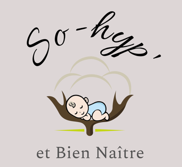 logo sohypetbiennaitre