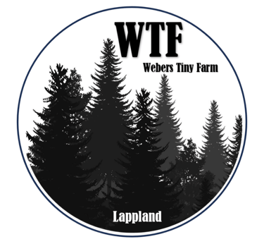 Logo WTF Camp