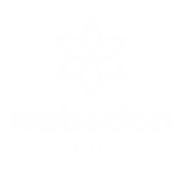 Logotipo do Instituto Michael de Nébadon no rodapé do site, representando a identidade visual