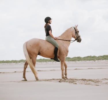 couple cavalier cheval plage