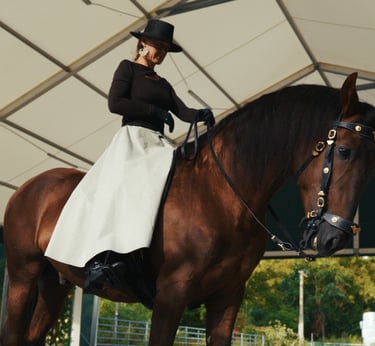 a woman in a black dress riding a horse