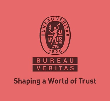 Logo Bureau Veritas