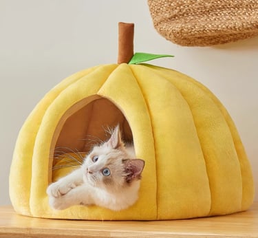 Cat Hut