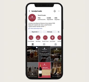 portfolio marketing digital redes sociales tonel privado Guvine