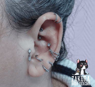piercing à pau rook helix vertical double conch anti-tragus