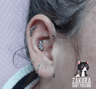 piercing à pau helix conch anti helix lobe