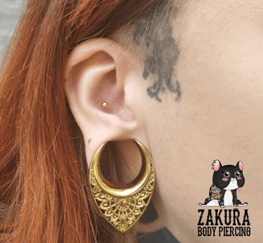 piercing à pau conch