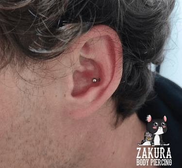 piercing à pau conch