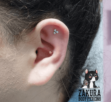 piercing à pau flat helix conch