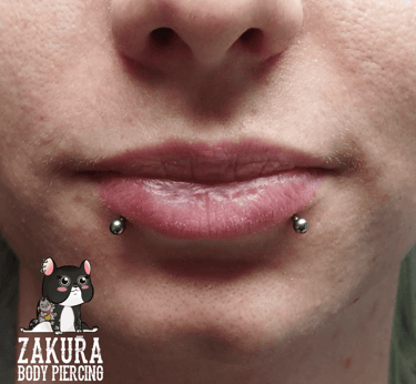 piercing à pau labret snake bites