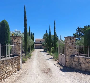 Entrée de la villa, allée bordée de Cyprès