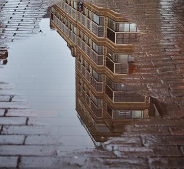 Reflektionen