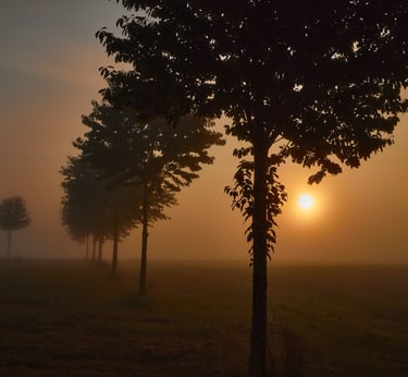 Landschaft und Natur