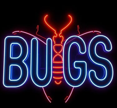a neon - lit sign that says,'bugs '