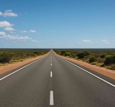 grey bitumen road with scrub on the sides leading to the horizon