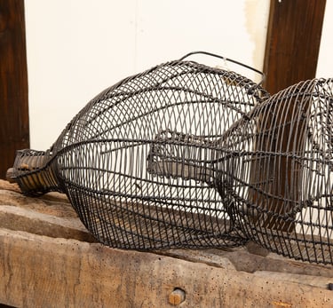 Les nasses à rats et poissons Marty, inventeur
