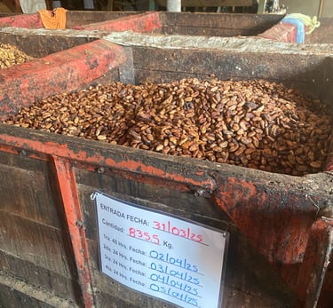 bac de cacao