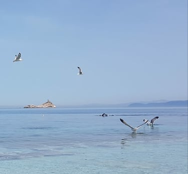 Le Ghiaie beach Elba Island sea