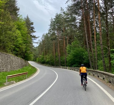 Counselling and psychotherapy services in Rickmansworth, in person and online, individuals & couples