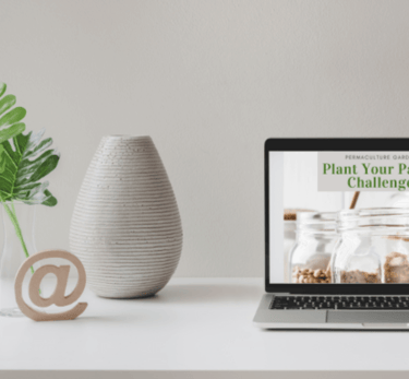 Laptop with Plant Your Pantry on it.