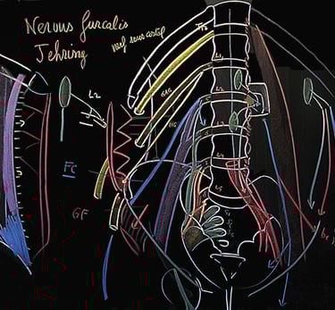 ethiopathie-enseignement