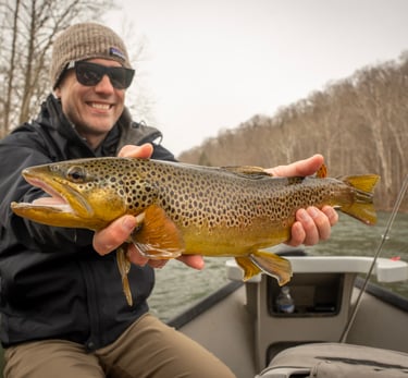 big brown trout in March in Tennessee 