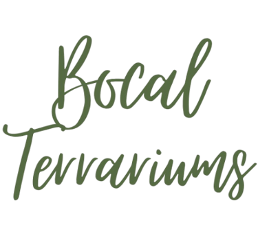 Logo Bocal Terrarium à Clermont-Ferrand