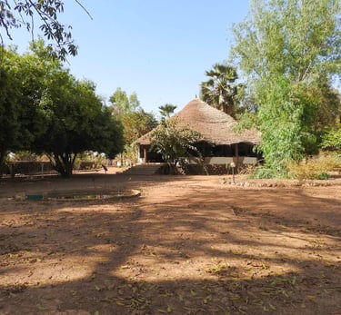 A picturesque view of Campement de Wassadou, featuring traditional African-style huts and tents situ