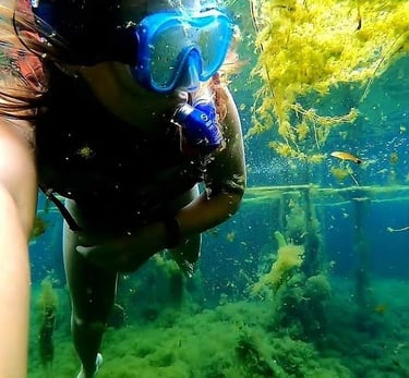 Visitemambai.com.br - Lagoa e Fervedouro do Léo