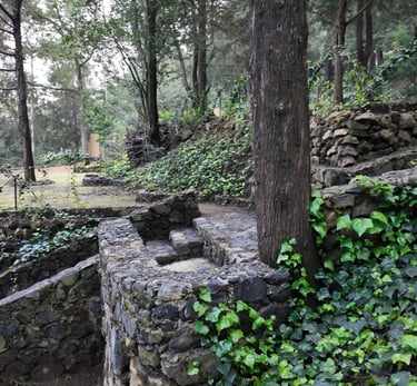 Terraza para eventos woodscape