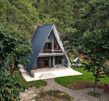 a house with a triangular shaped roof and a large tree