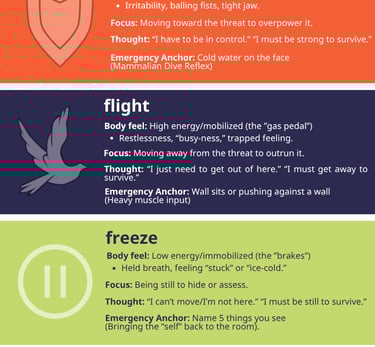 Educational poster of the 5Fs of Trauma