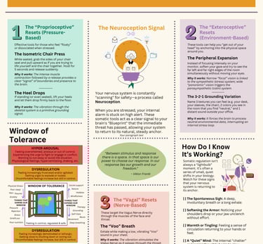 Picture of an educational poster about tools for regulation at work.