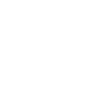 Linkers express logo