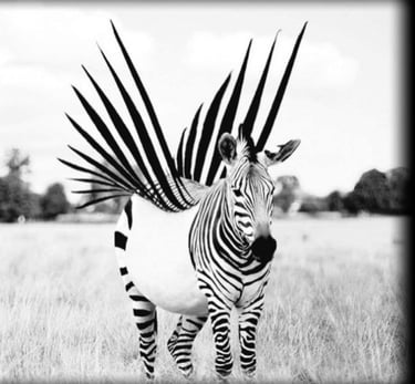 Neuroatypie Zèbre HPI TDAH TSA 