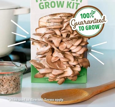 a box of mushrooms and mushrooms on a counter
