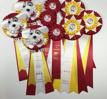 Face de chien à l'effigie de votre logo de club, très populaires pour les jeunes manieurs.