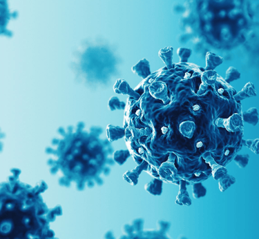 Infectious human plasma