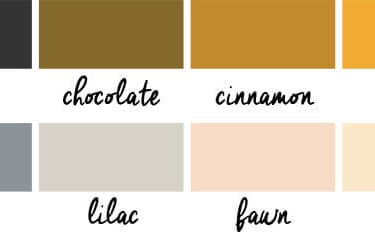 British Shorthair Kitten Colors and Patterns